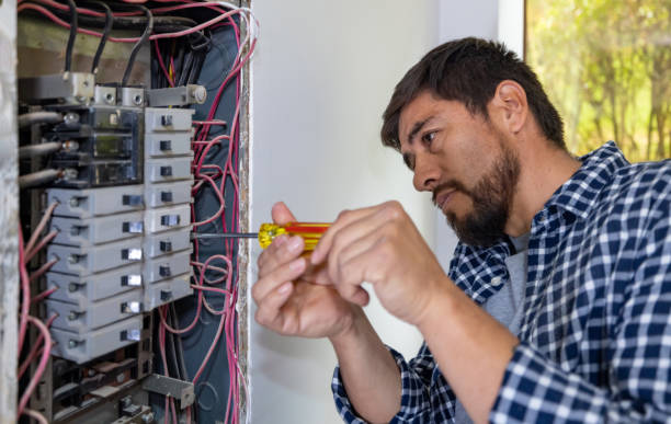 Best Electric Panel Repair  in Chinook, MT